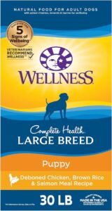 The Best Dog Food for Australian Shepherds - Pet Expert Connect Wellness Complete Health Large Breed Puppy